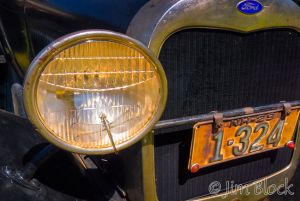 16   DJ482455A-Dragonfly-and-Ford.jpg